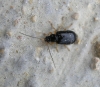 A identificar