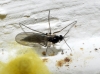 Sciaridae Sciaridae