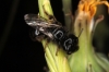 a identificar