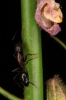 a identificar a identificar