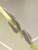 Melitaea deione
