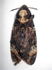 Acherontia atropos