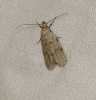 A identificar