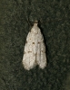 A identificar