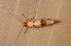 a identificar