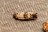 a identificar