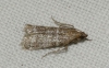 A identificar
