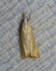 Agriphila straminella (Denis & Schiffermller, 1775)