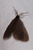 A identificar