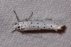 A identificar