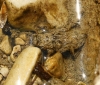 A identificar