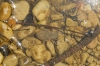 A identificar