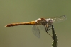 a identificar