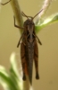 a identificar a identificar
