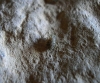 Prionoglaris stygia