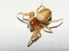 Araniella sp.