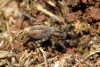 a identificar