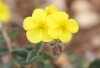 a identificar 1/2