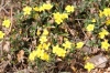 a identificar 2/2