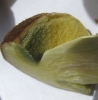 Xerocomus sp. Xerocomus sp.