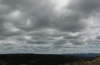 Stratocumulus stratiformis opacus (Sc str op)