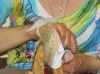 Alpargatera