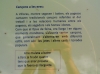 Canons a les eres