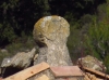 Estela funeraria ?