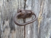Tirador de una puerta