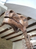Reconstruccin de Iguanodntido