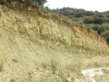 Yacimiento Ana