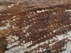 fsil: madera