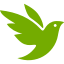 Anar a la consulta feta sobre l'espècie a iNaturalist